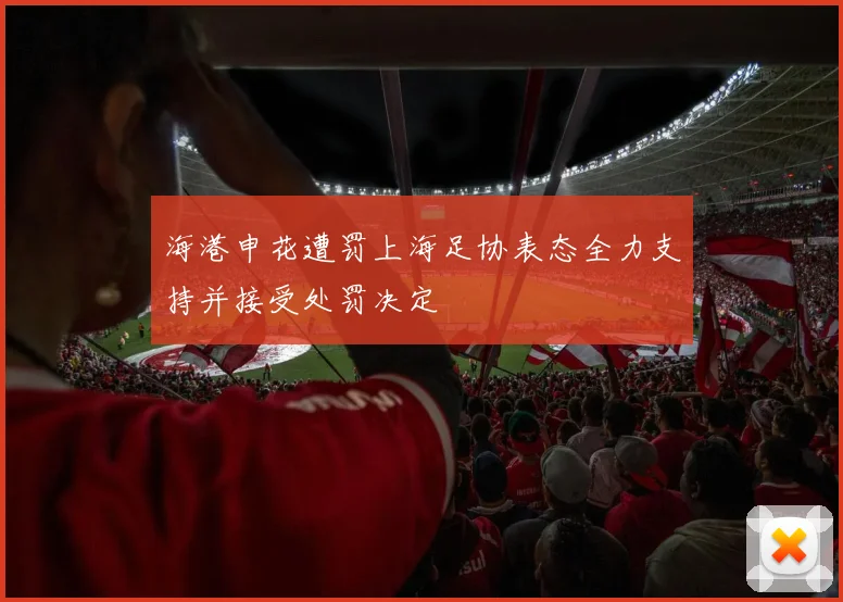 海港申花遭罚上海足协表态全力支持并接受处罚决定