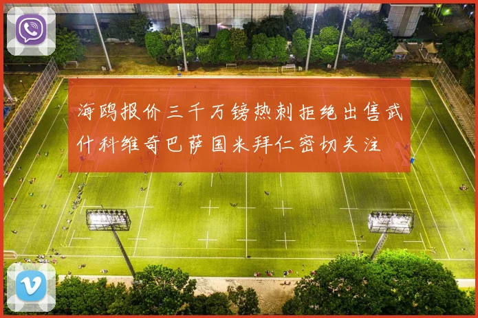 海鸥报价三千万镑热刺拒绝出售武什科维奇巴萨国米拜仁密切关注